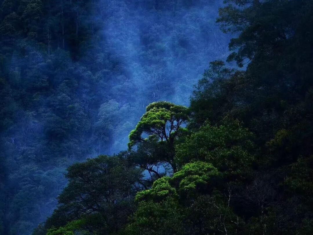 暗黑血统3