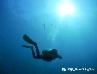 大眼蛙3